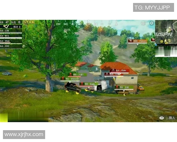 和平精英专题深入分析TES战队心理素质及其对比赛表现的影响 和平精英专题深入分析TES战队心理素质及其对比赛表现的影响