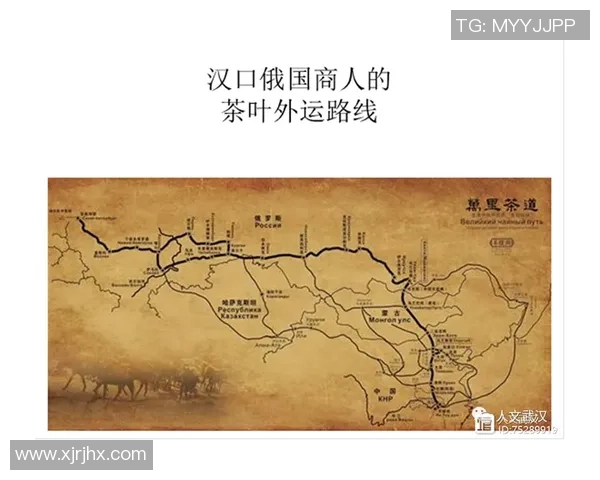 杭州排球队战术解析:聚焦团队协作与进攻策略的深度探讨 杭州排球队战术解析:聚焦团队协作与进攻策略的深度探讨