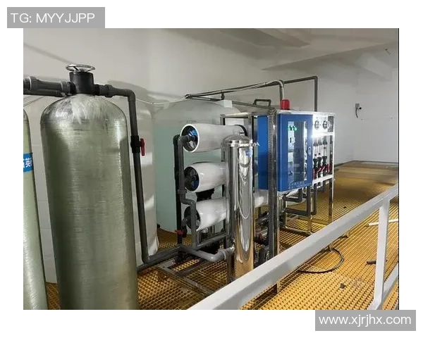 王伟独家分享篮球心得与技巧助你提升球技的全面指南