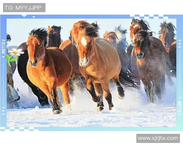 重庆飞盘队灵活性对比研究揭示战术优势与发展潜力 重庆飞盘队灵活性对比研究揭示战术优势与发展潜力